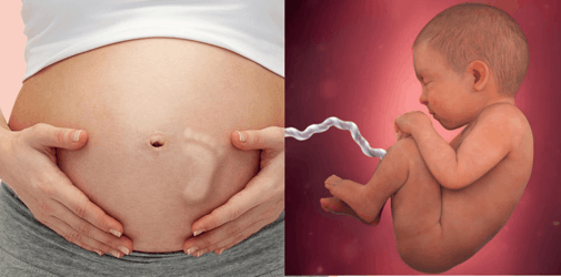 sự thay đổi của mẹ và bé tuần 34 thai kỳ